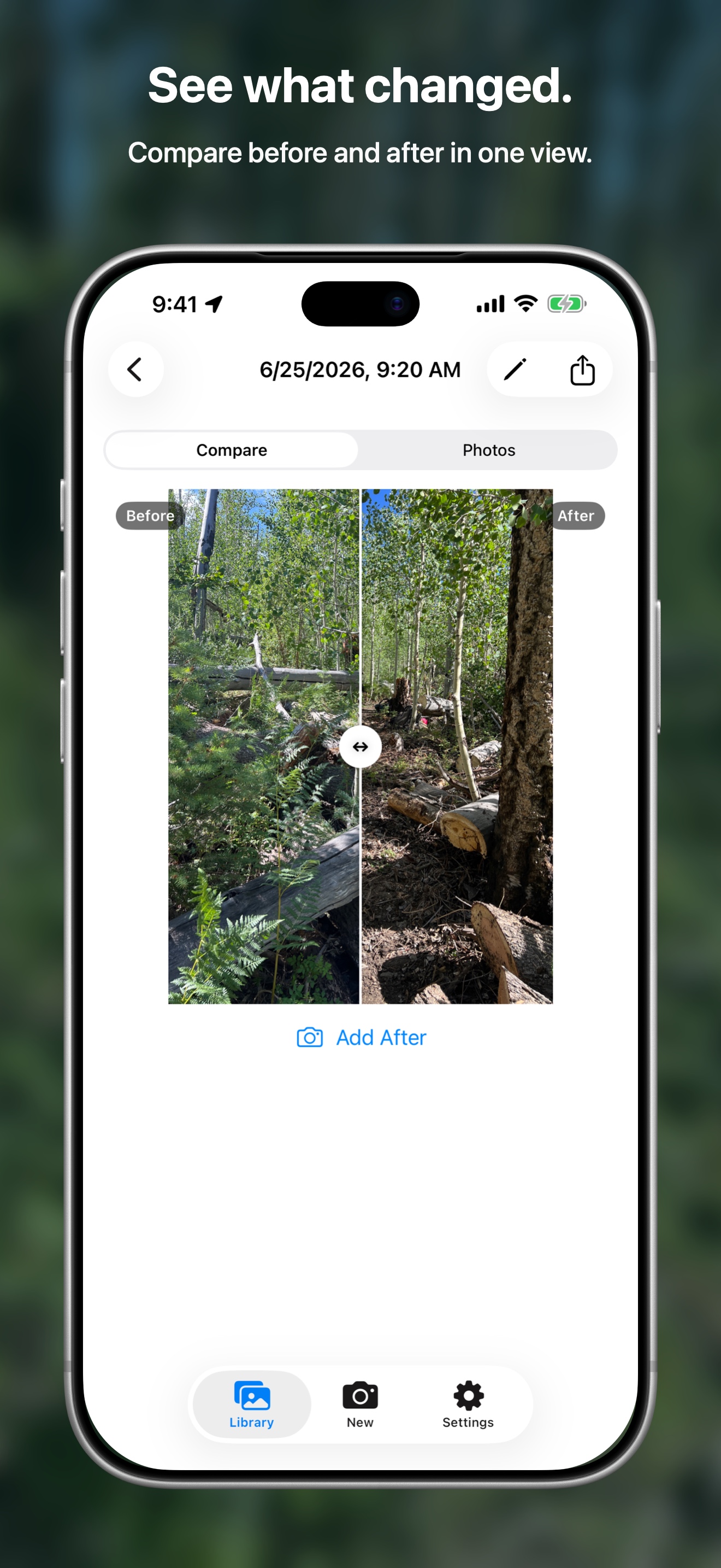Baftr's Compare view shows a wooded location before and after, with a draggable divider revealing each photo.