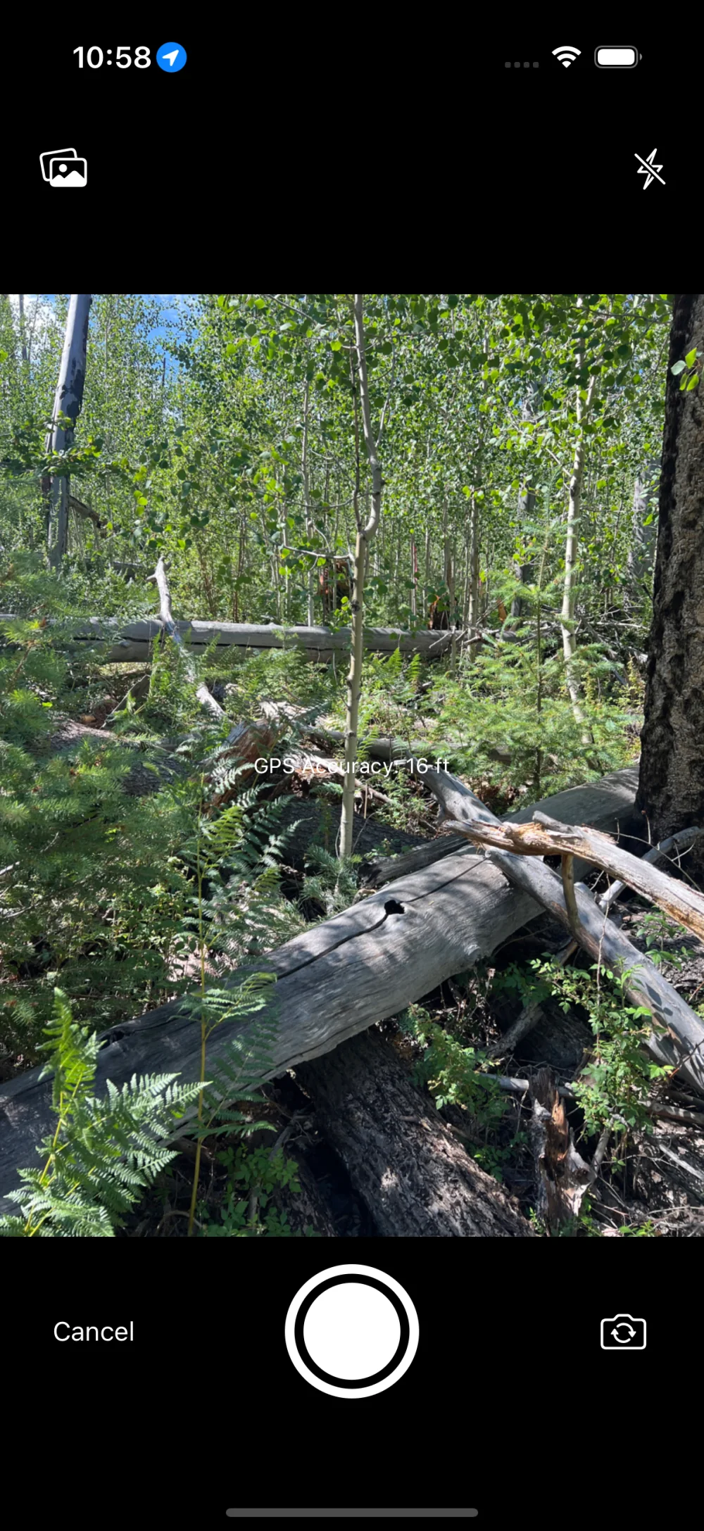 Baftr’s New camera shows a wooded-trail before photo with the shutter, Cancel, and camera-flip controls.